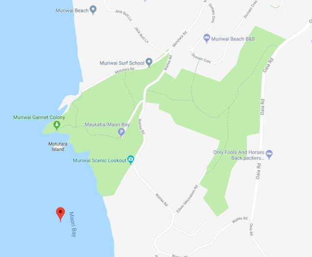 Person Drowns Near Muriwai Beach