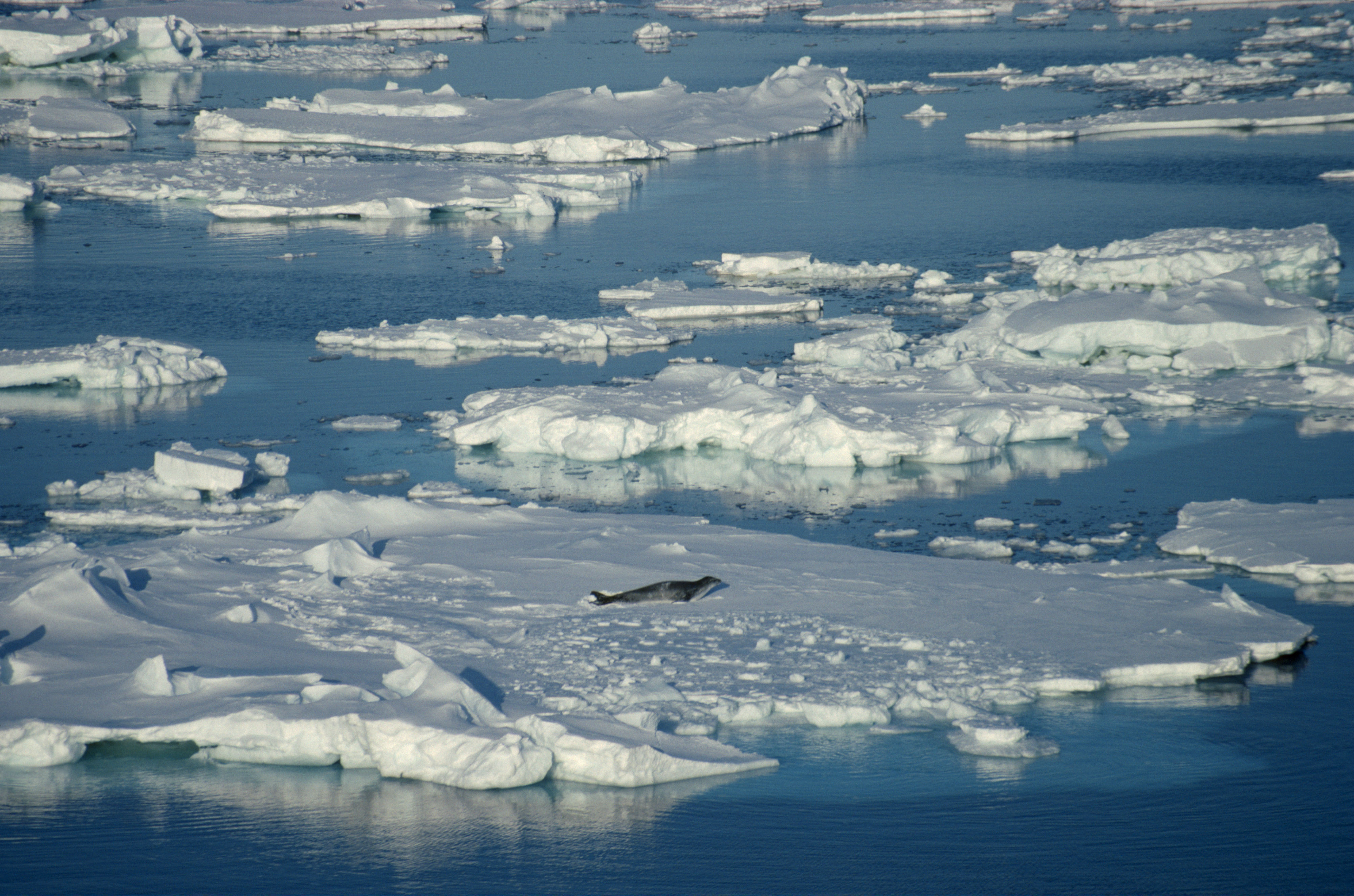 Scientists To Investigate Unexplored Antarctic Sea Floor