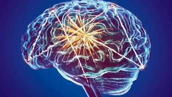 The secret to brain health