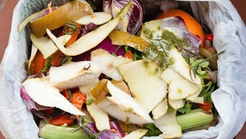 How can we reduce our food waste? 