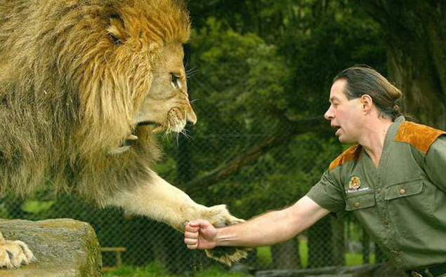 lion zookeeper joe the name