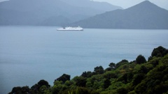 Interislander ferry Aratere seen at anchorage in Picton on morning of Sunday June 23 2024 after running aground on Friday night. Photo / Tim Cuff