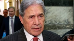 Foreign Minister Winston Peters: "We understand New Zealanders’ frustration, we’re frustrated ourselves”. Photo / Mark Mitchell