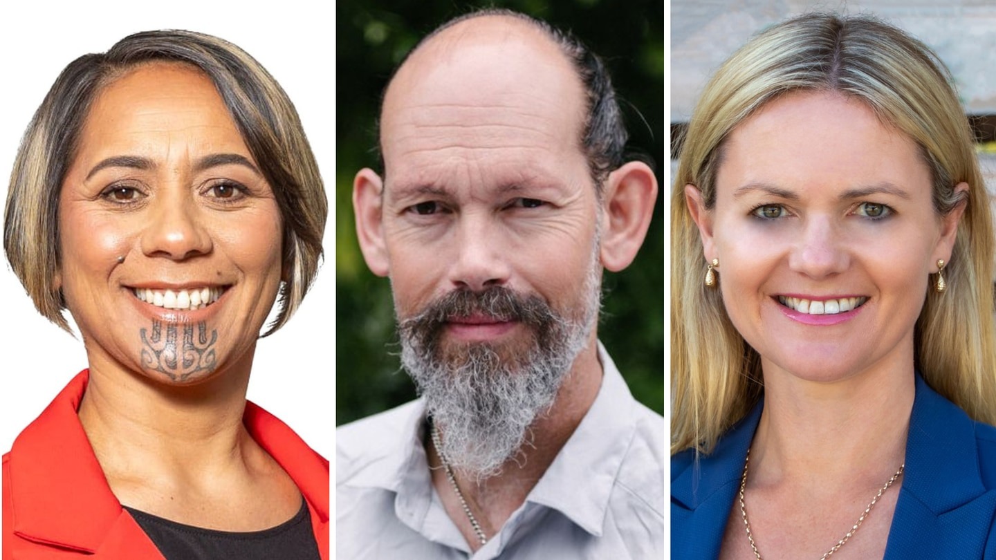 Ex TVNZ reporter climate protester rugby boss The new MPs on