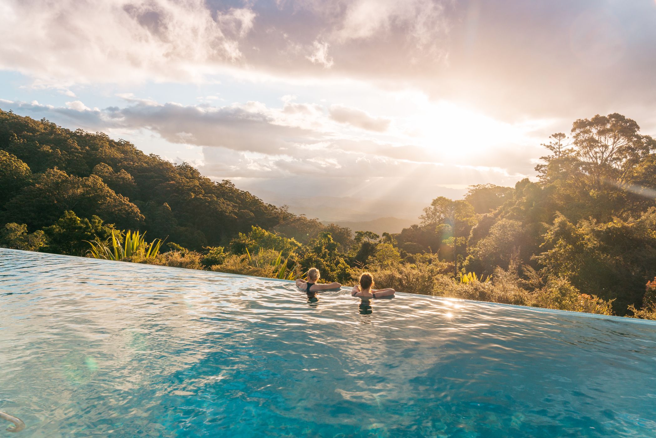 Mike Yardley O Reilly S Rainforest Retreat Gold Coast