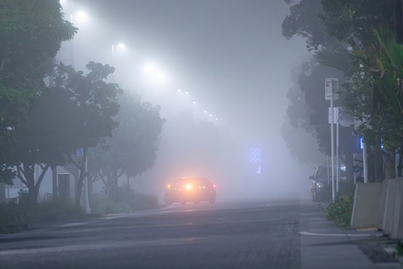 Overnight, heavy fog covered parts of Auckland. Photo / Hayden Woodward