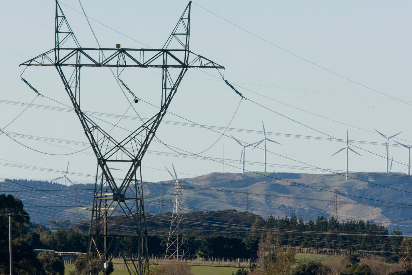 NZ-wide Emergency: Power Failure Affects Thousands; Public Left Puzzled