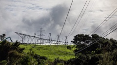 The downed pylon, at Glorit north Auckland, brought down power to 100,000 Northland homes and businesses, and ongoing pain for many businesses. Photo / Michael Craig