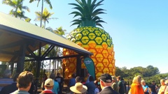 The Reopening Of The Big Pineapple. Photo / Mike Yardley