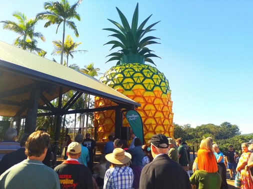 The Reopening Of The Big Pineapple. Photo / Mike Yardley