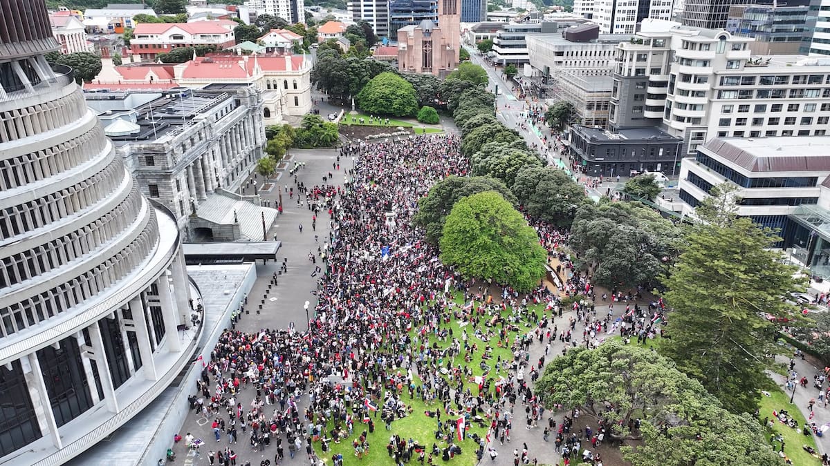 Hīkoi To Parliament Live Updates: Thousands Descend On Wellington In ...