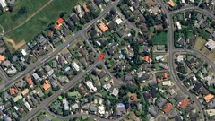 The incident occurred at Napier Grove in Waikanae, north of Wellington. Photo / Google