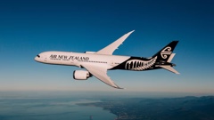Two people were injured after turbulence on the Air NZ flight. Photo / Supplied