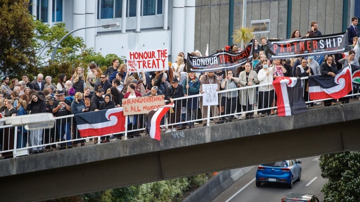 National Māori Action Day protesters on the Aurora Terrace bridge across State Highway 1 were out in Wellington on December 5. Photo / Mark Mitchell