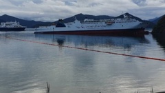 The Interislander ferry Aratere which ran into the South Island coastline.Photo / Tim Cuff