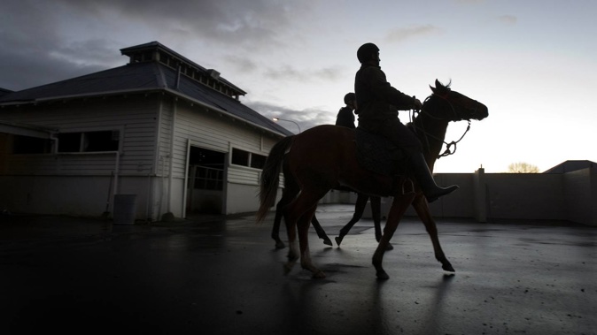 Trackwork rider Robert Harris has had his licence suspended for 18 months after testing positive for methamphetamine one month after a previous period of disqualification. Photo / NZME